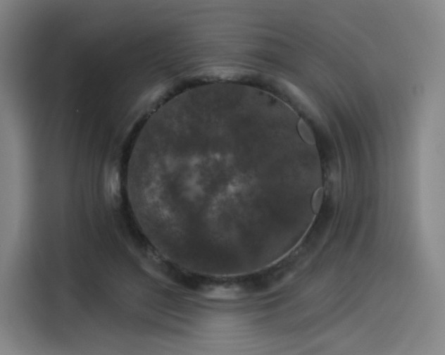 X0000114210500200910161250