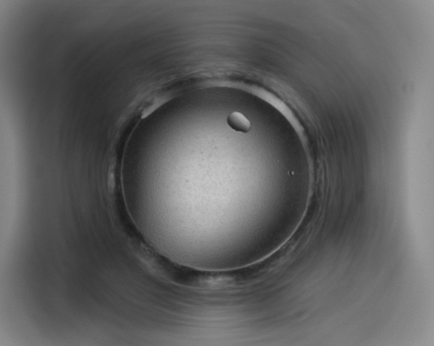 X0000114210501200910161250