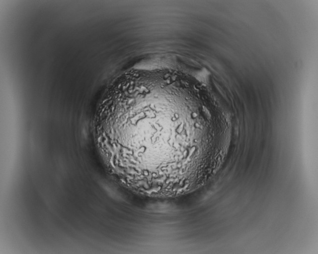 X0000114210503200910161250