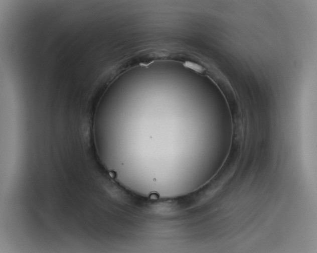 X0000114210505200910161250