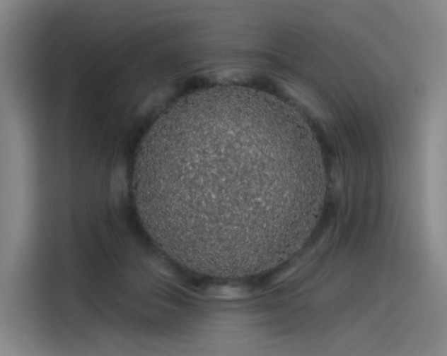 X0000114210506200910161250