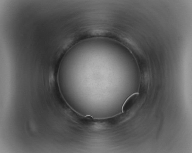 X0000114210508200910161250
