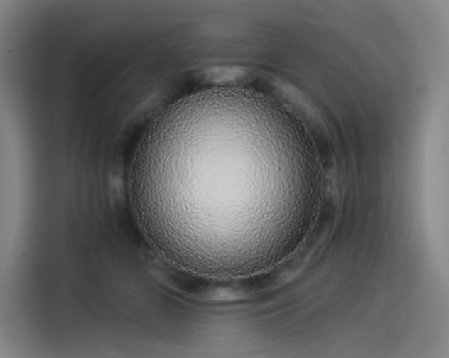X0000114210510200910161250