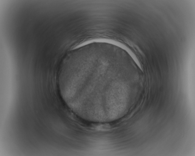 X0000114210517200910161250