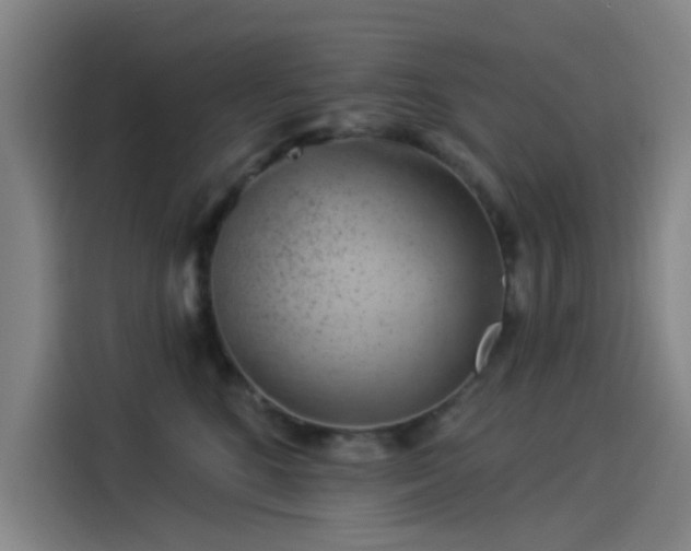 X0000114210520200910161250
