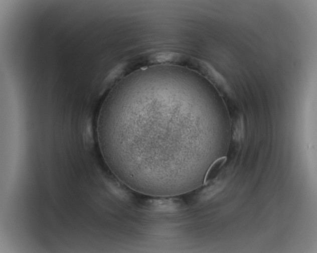 X0000114210524200910161250