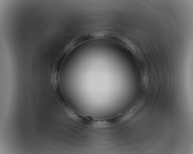 X0000114210525200910161250