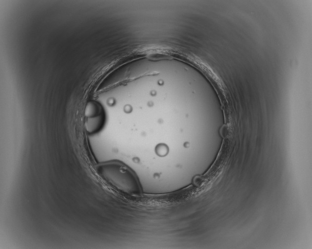 X0000114210529200910161249