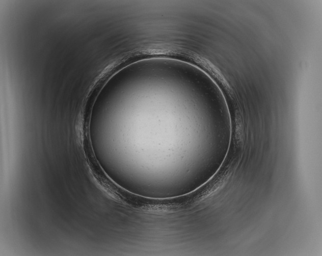 X0000114210530200910161249