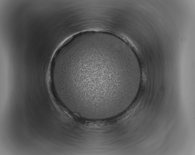 X0000114210532200910161249