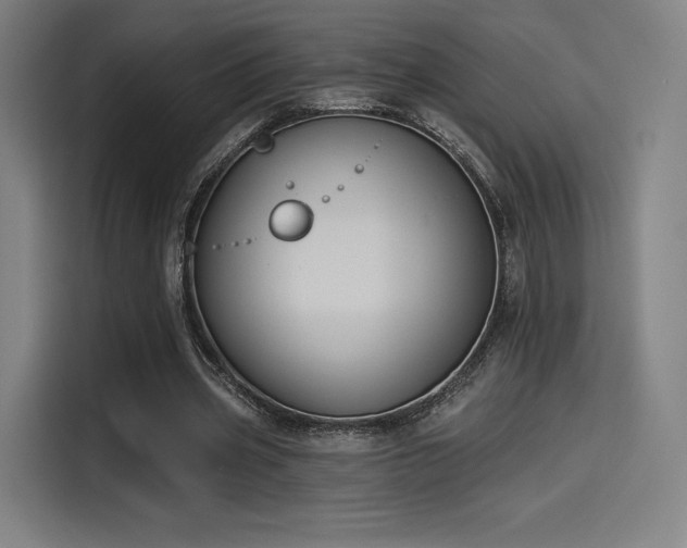 X0000114210533200910161249