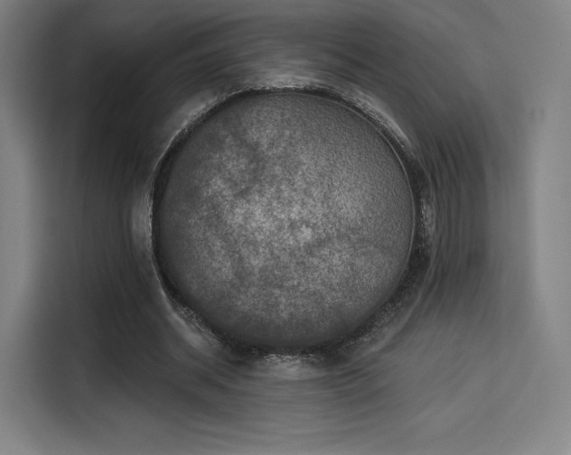X0000114210534200910161249