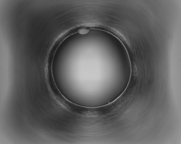 X0000114210535200910161249