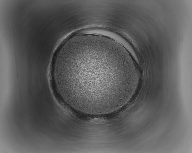 X0000114210536200910161249