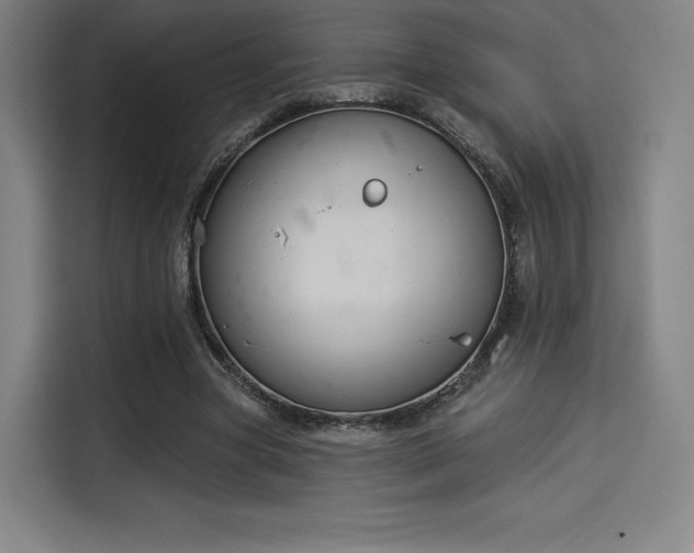 X0000114210537200910161249