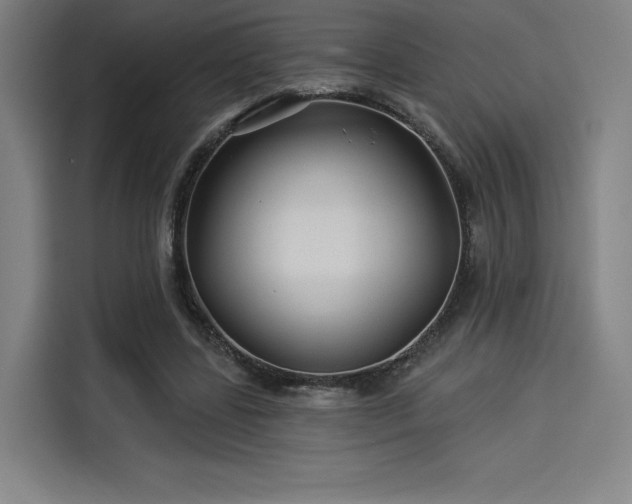 X0000114210539200910161249