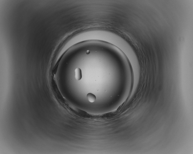 X0000114210540200910161249