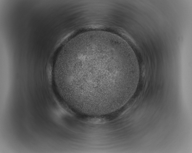 X0000114210542200910161249