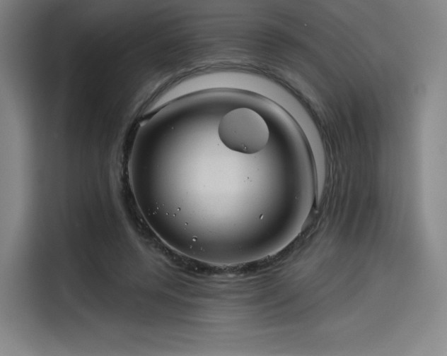 X0000114210544200910161249