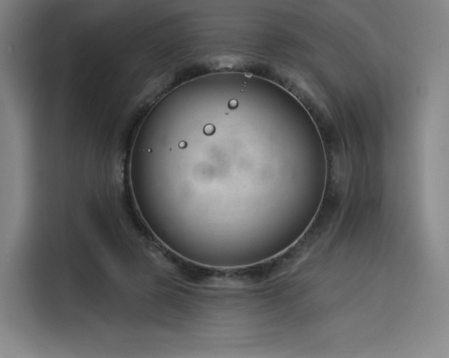 X0000114210545200910161249