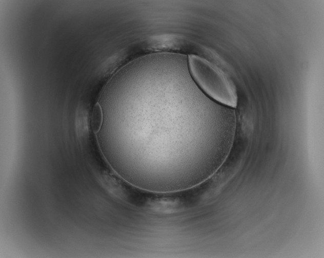 X0000114210546200910161249