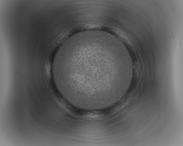 X0000114210550200910161249