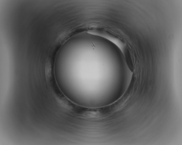 X0000114210552200910161249