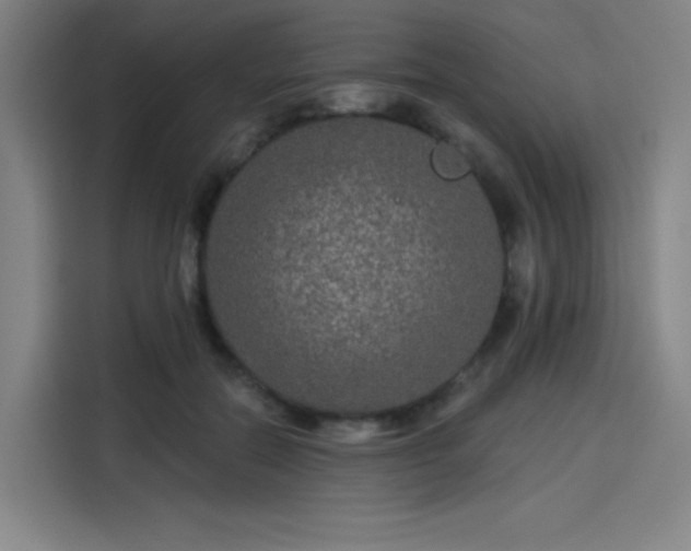 X0000114210554200910161249