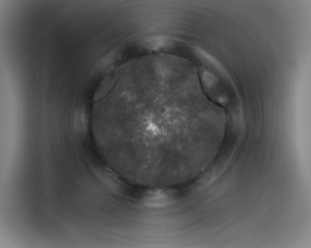 X0000114210558200910161250