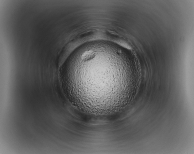 X0000114210559200910161250