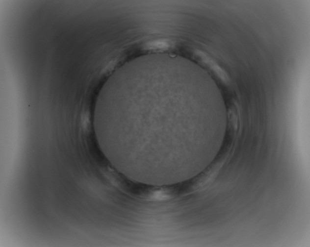 X0000114210564200910161250