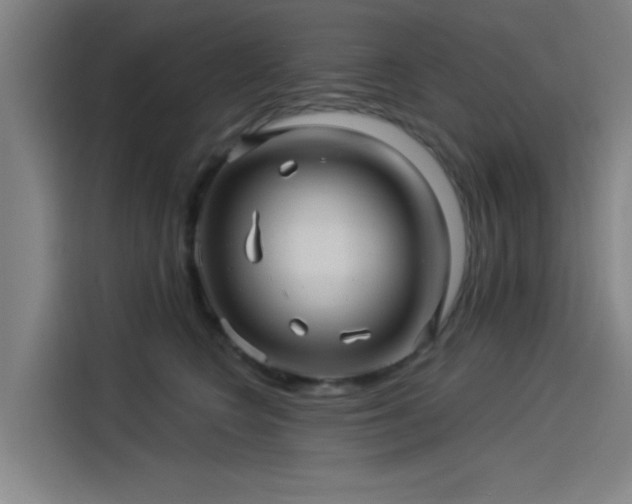 X0000114210566200910161250