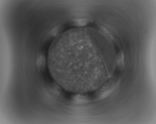 X0000114210568200910161250
