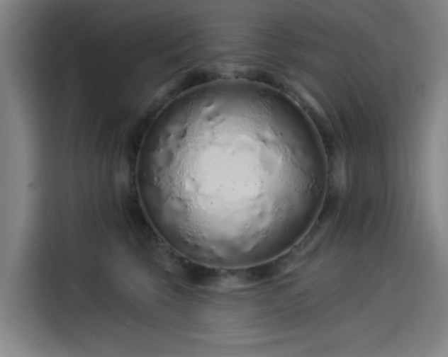 X0000114210569200910161250