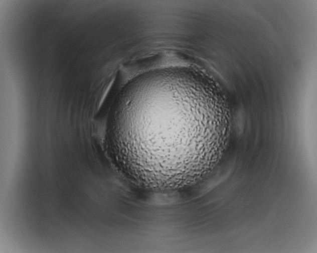 X0000114210571200910161250