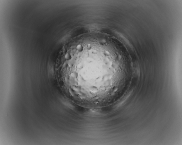 X0000114210573200910161250