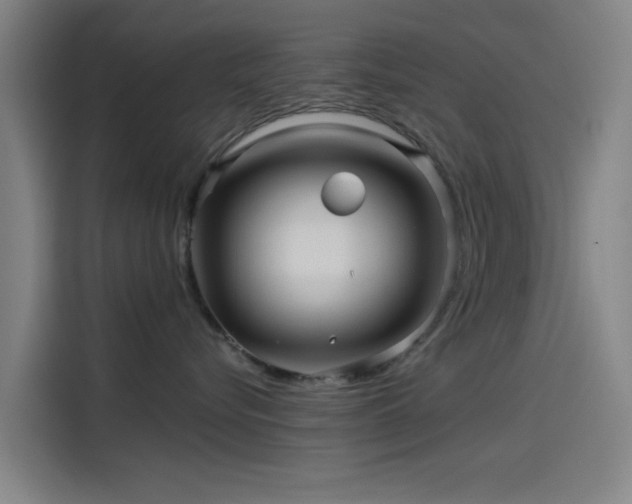 X0000114210576200910161250
