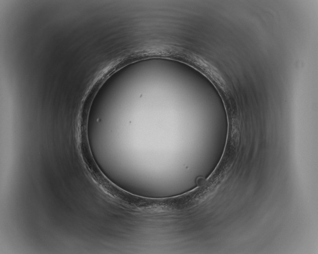 X0000114210578200910161249