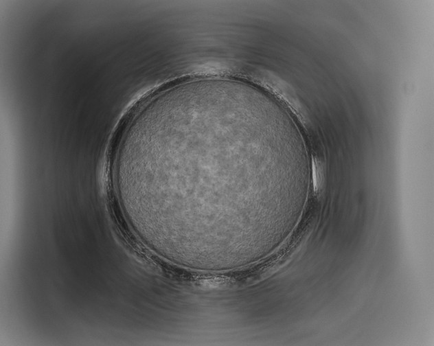 X0000114210579200910161249