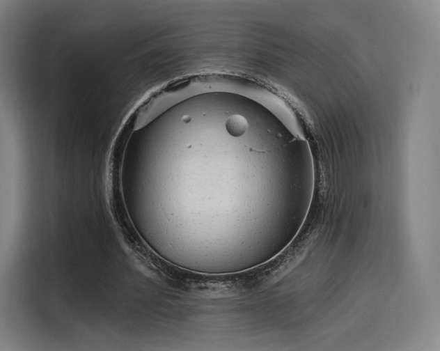 X0000114210580200910161249