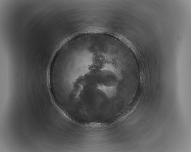 X0000114210581200910161249