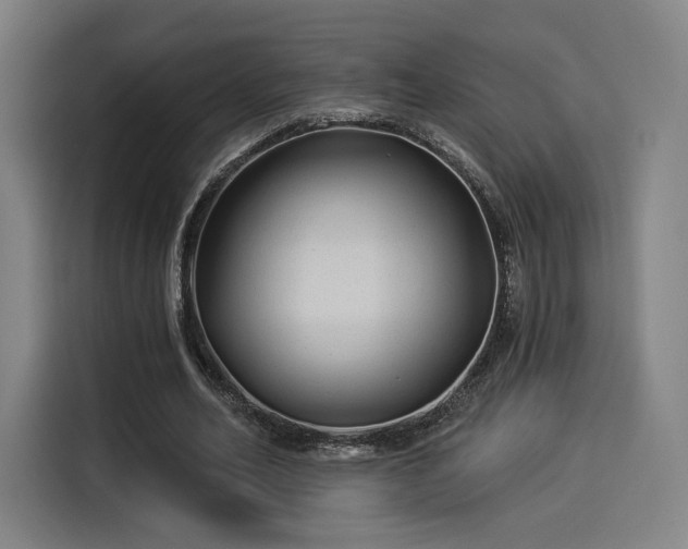 X0000114210582200910161249