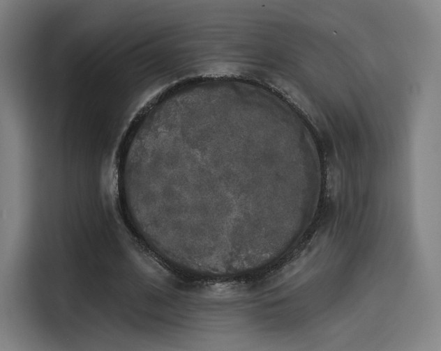 X0000114210584200910161249