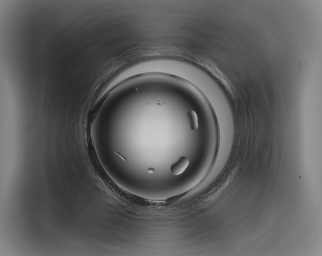 X0000114210585200910161249