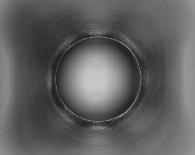 X0000114210586200910161249