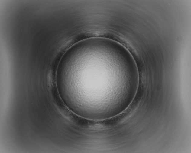 X0000114210594200910161249