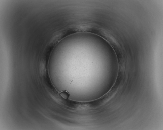 X0000114210599200910161249