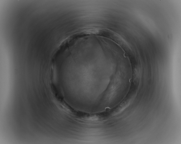 X0000114210600200910161249