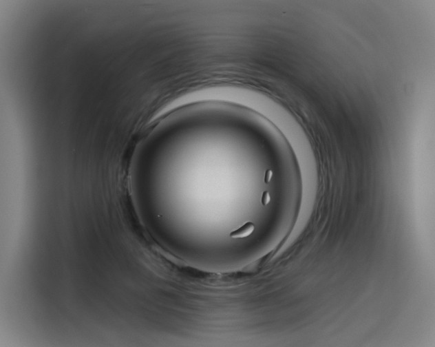 X0000114210601200910161249