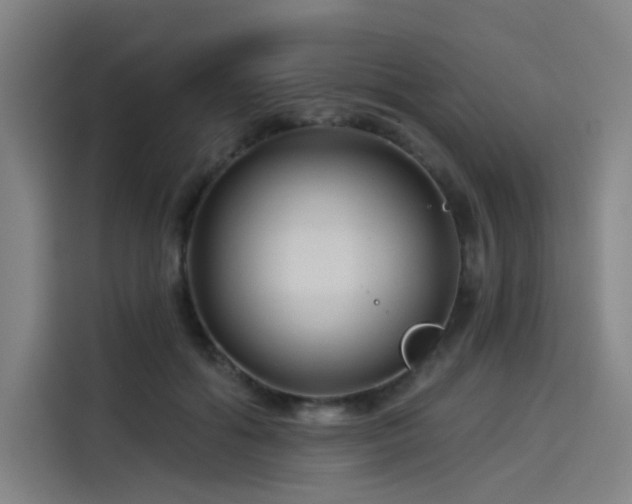 X0000114210602200910161249